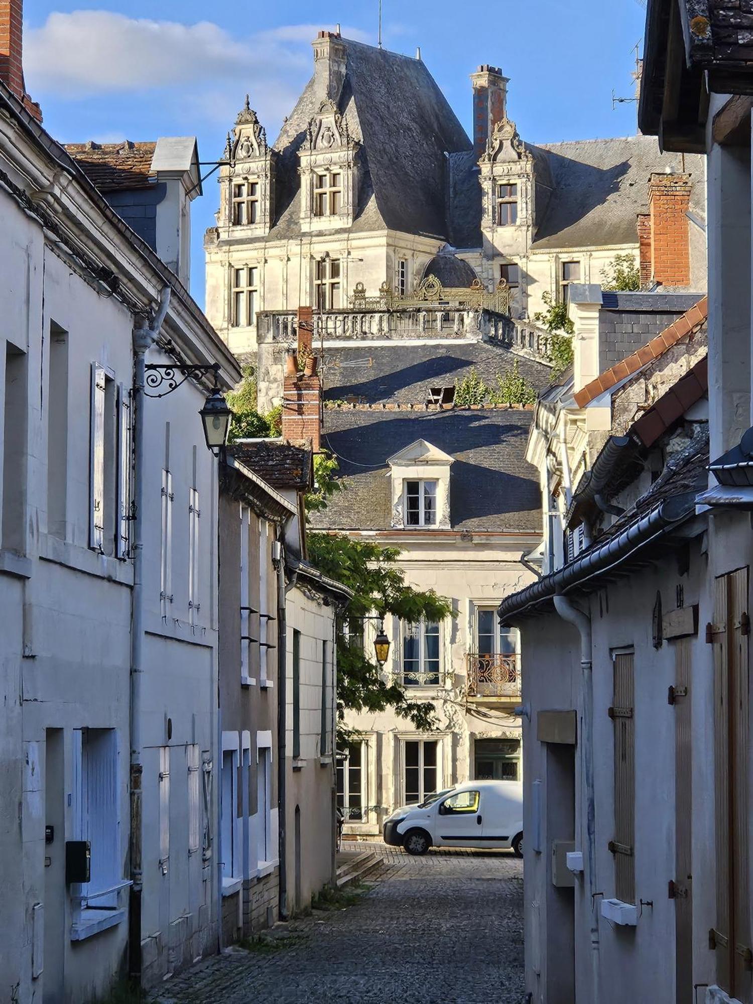 Regard Sur Le Chateau Saint-Aignan  Exterior foto